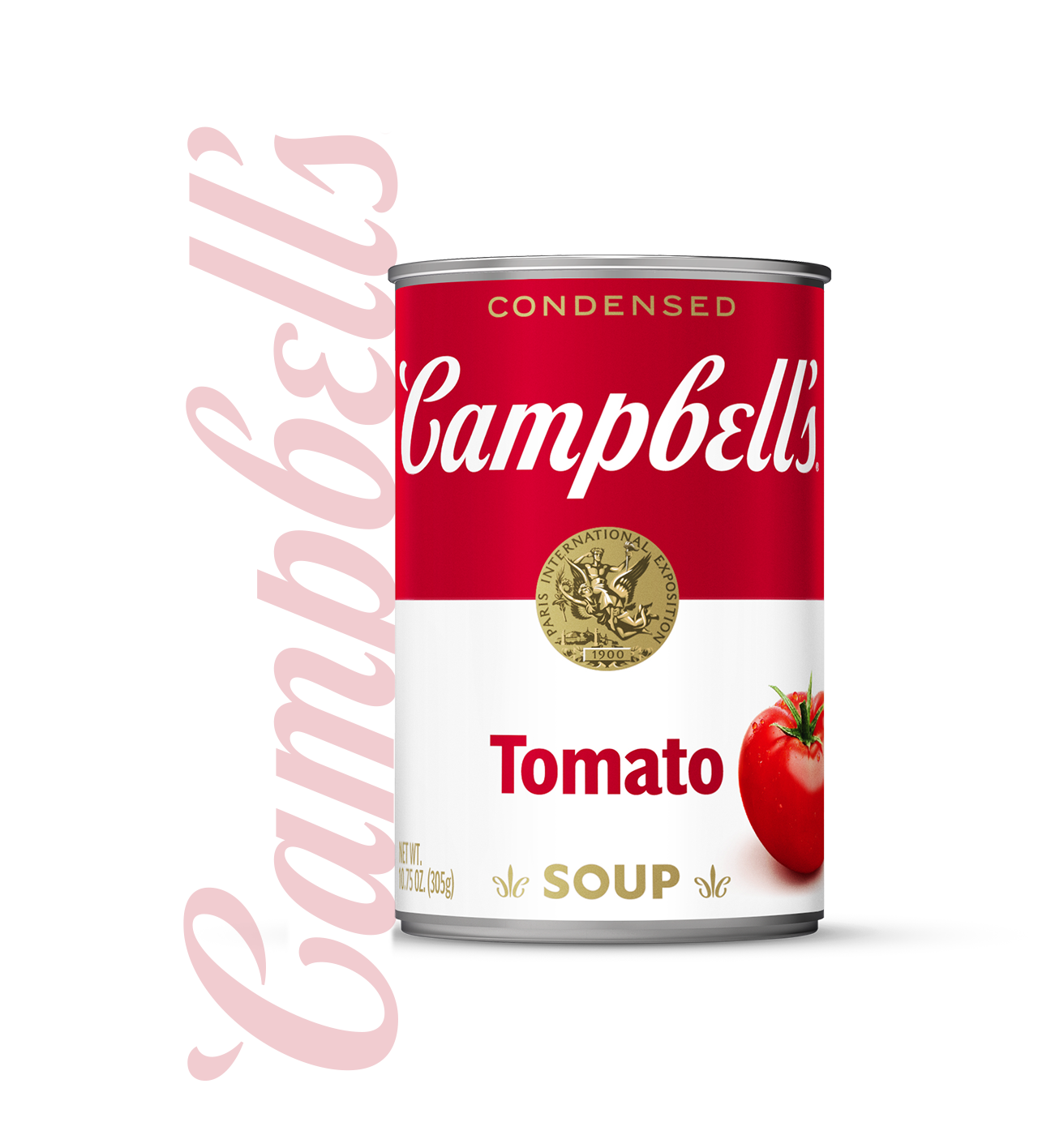 Snacking Soups - Campbell Soup Company